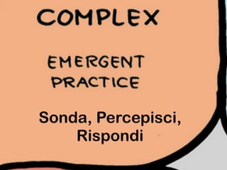 Sonda, Percepisci,
Rispondi
 