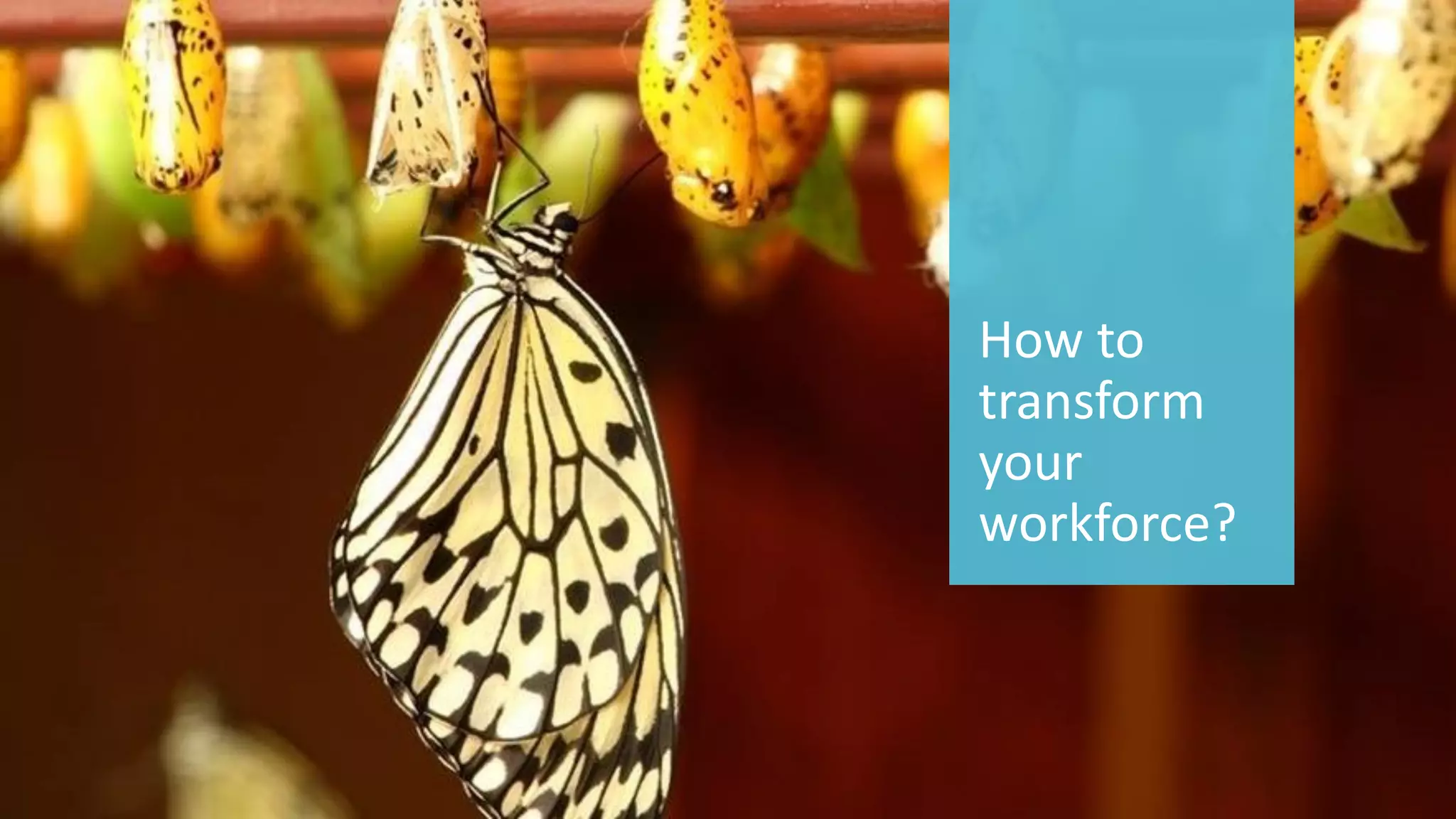 79 
© 2014 CA. ALL RIGHTS RESERVED. 
How to transform your workforce?  
