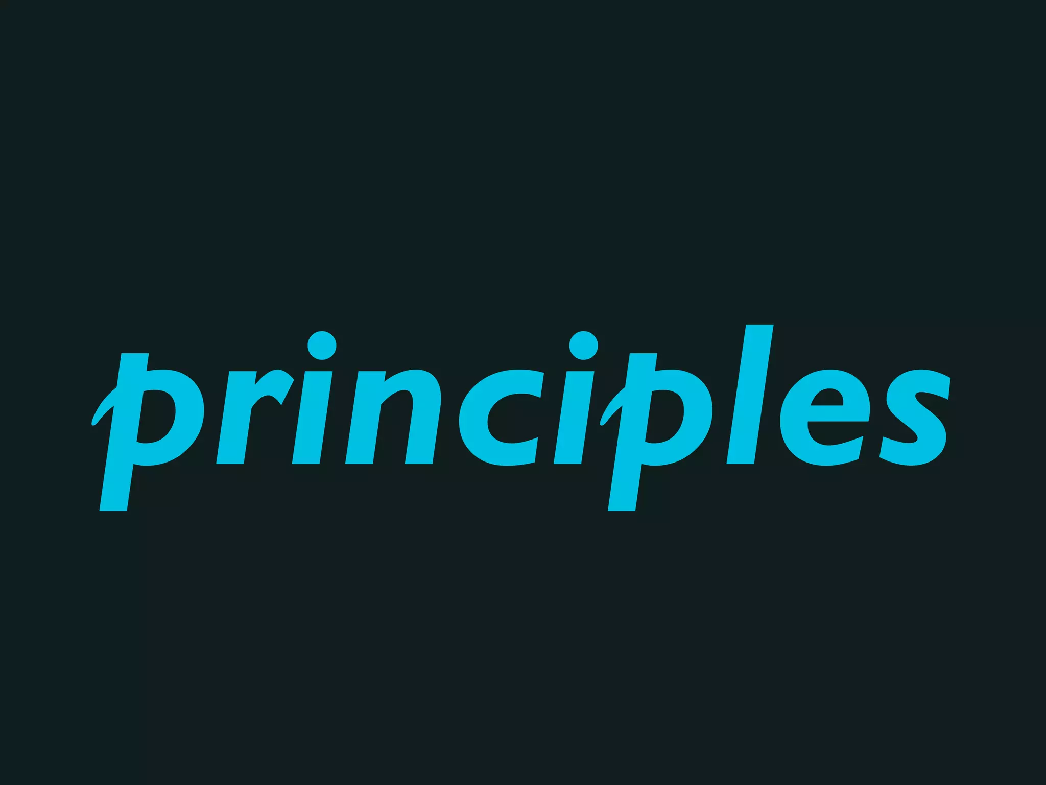 principles
 