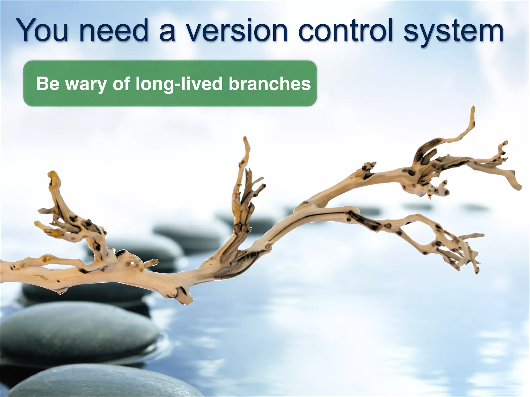 You need a version control system
Be wary of long-lived branches
 