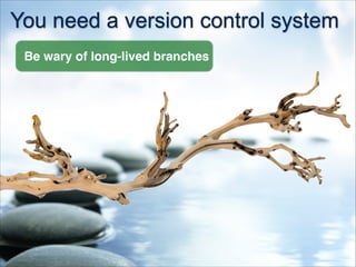 You need a version control system
Be wary of long-lived branches
 