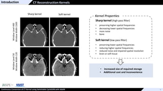Continuous Conversion of CT Kernel using Switchable CycleGAN with AdaIN ...