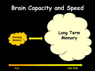 We use our whole brain, all the timeLogical?Creative?Longer branches, more dendritic spines, less preciseShorter branches, fewer dendritic spines, more precise