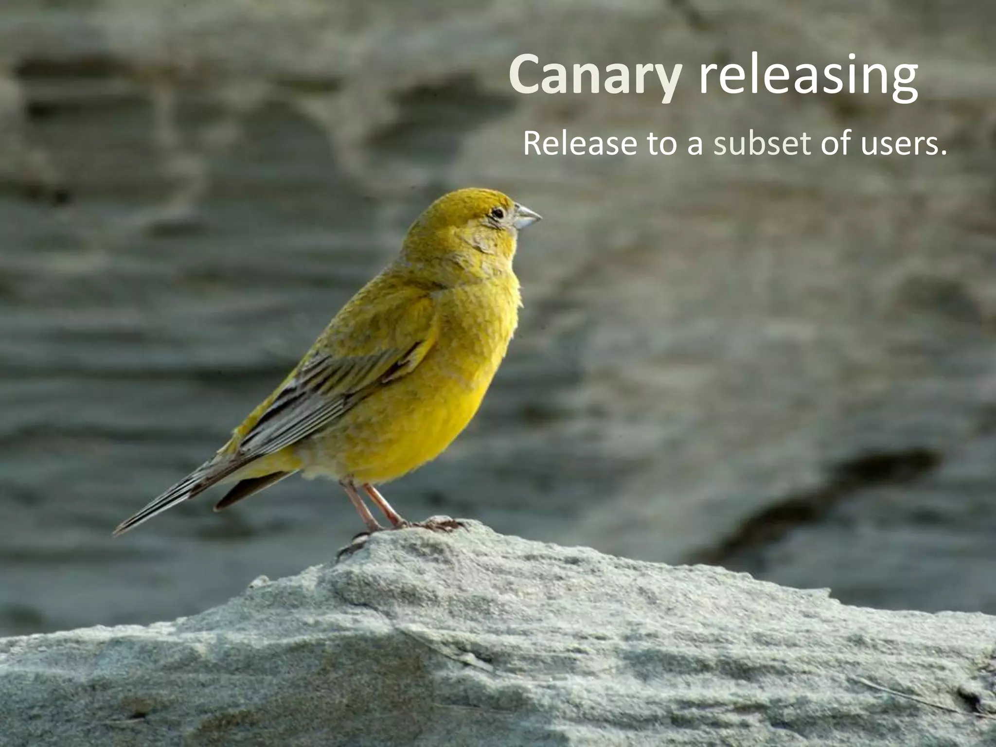 Canary releasing
Release to a subset of users.
 
