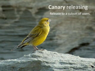 Canary releasing
Release to a subset of users.
 