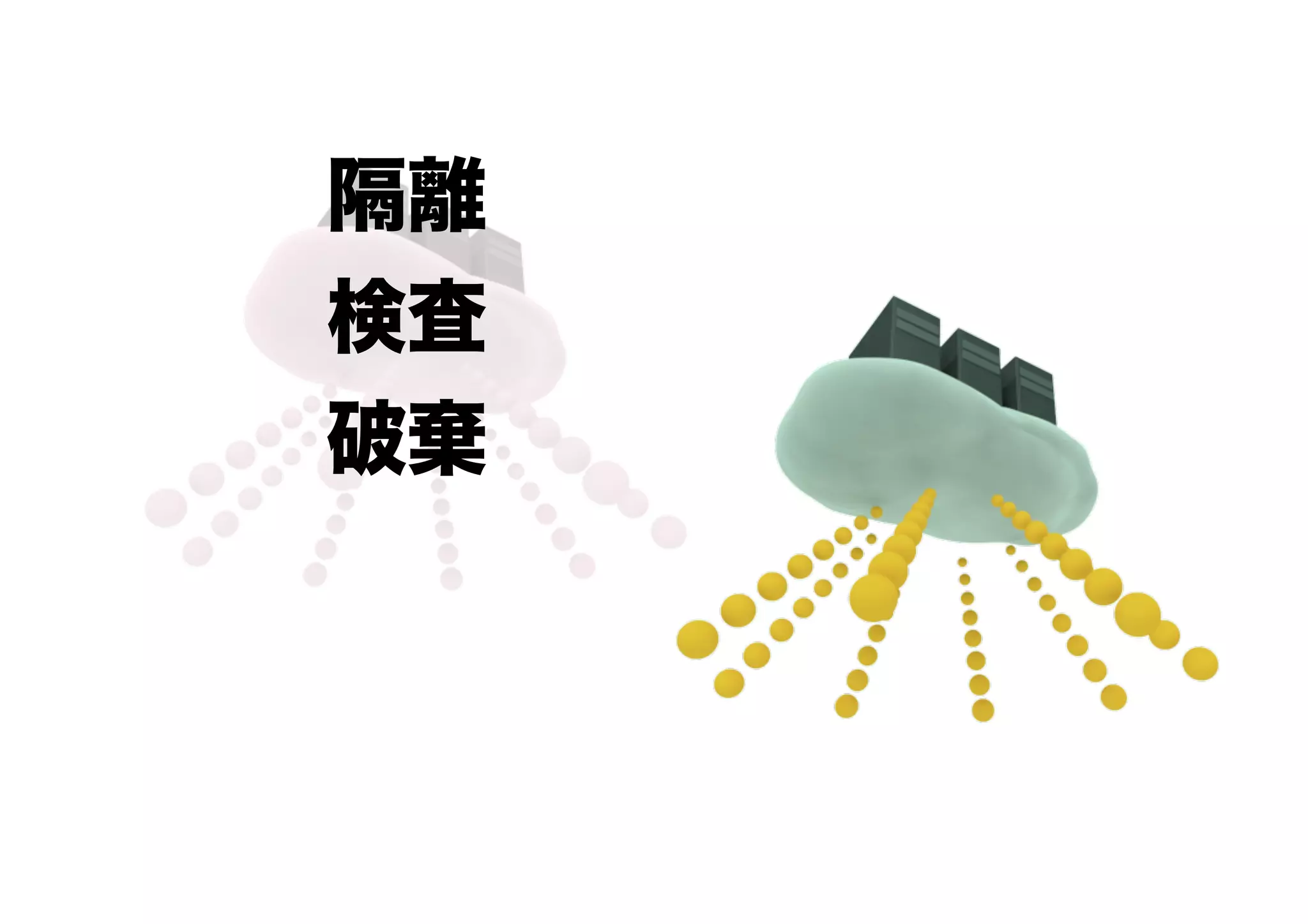 隔離
検査
破棄
 