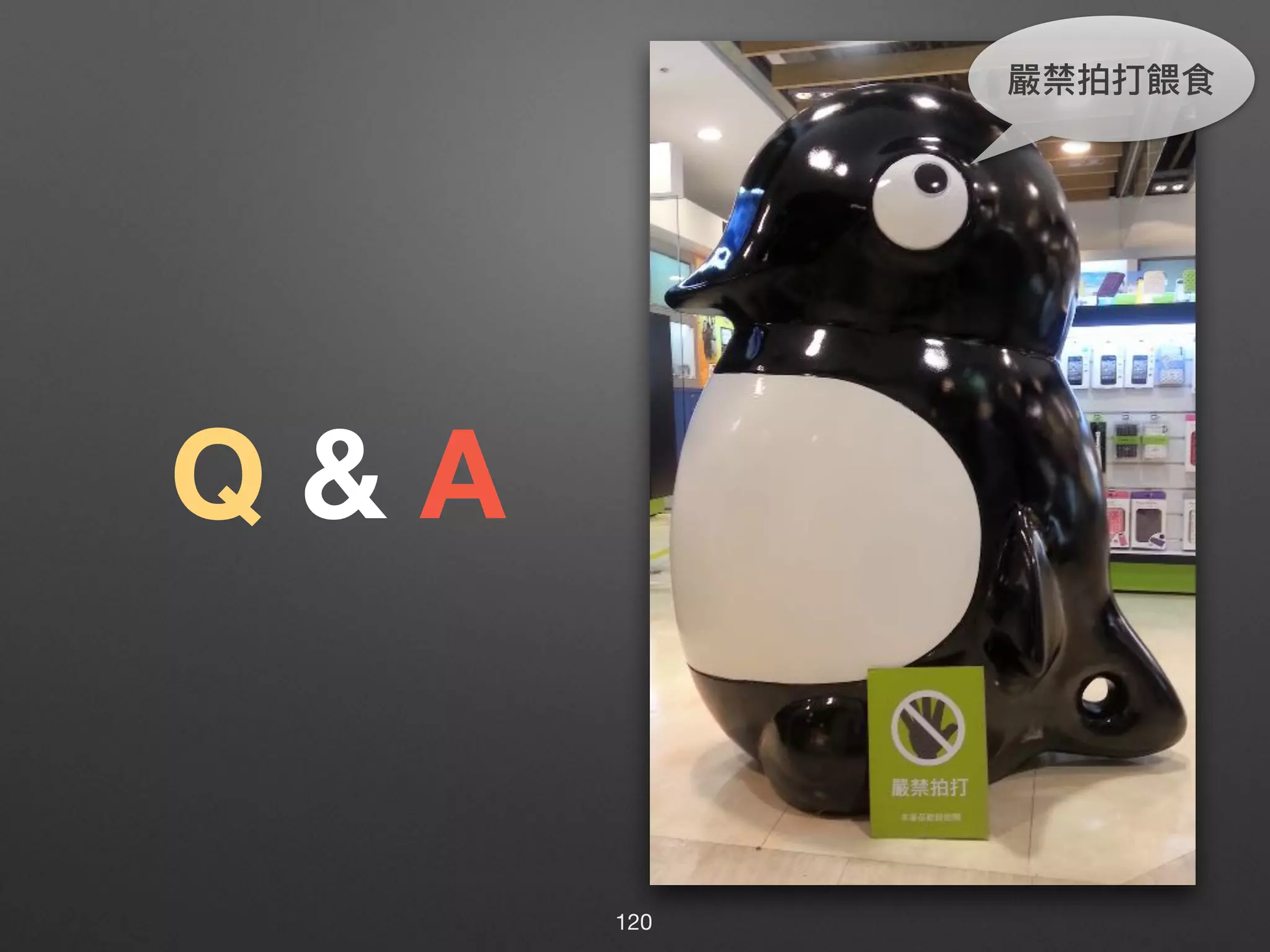 Q & A
嚴禁拍打餵食
120
 