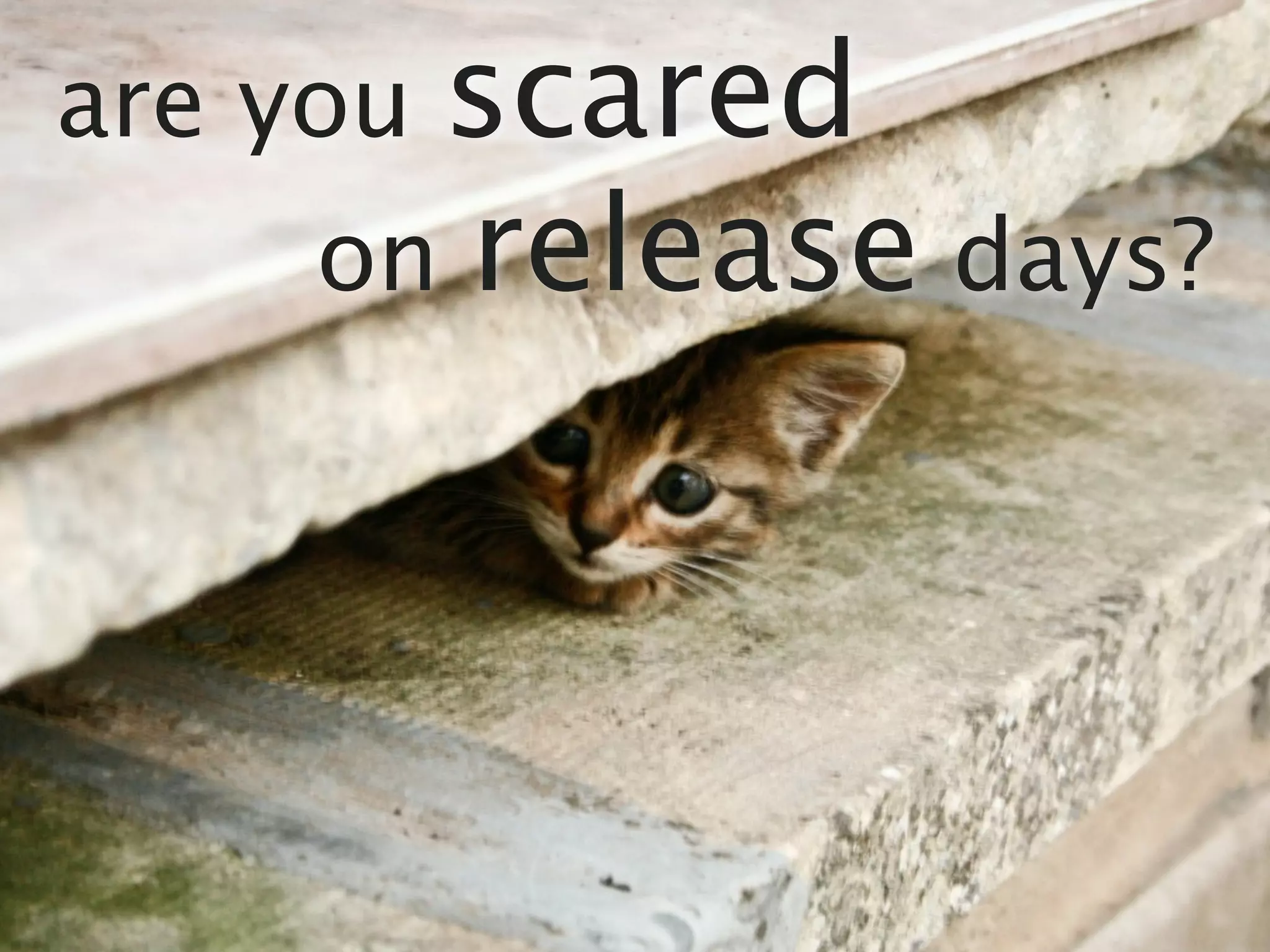 are youscared
     on release days?
 