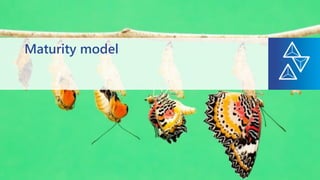 Maturity model
 