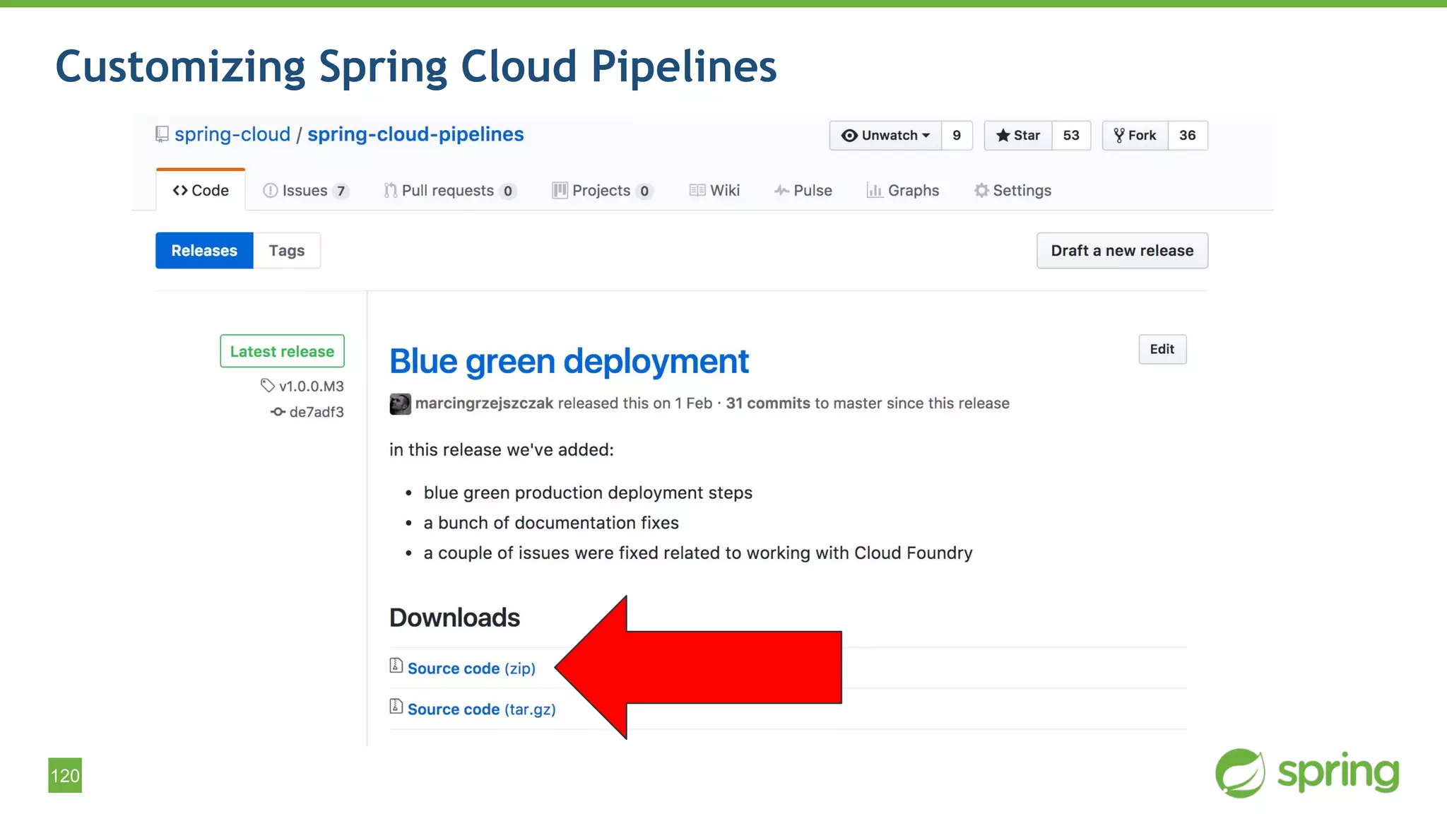 120
Customizing Spring Cloud Pipelines
 