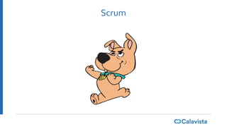 Scrum
 