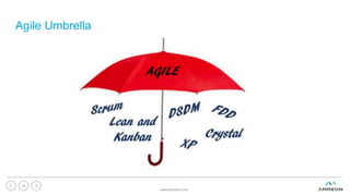 Agile Umbrella
www.ammeon.com
33
 