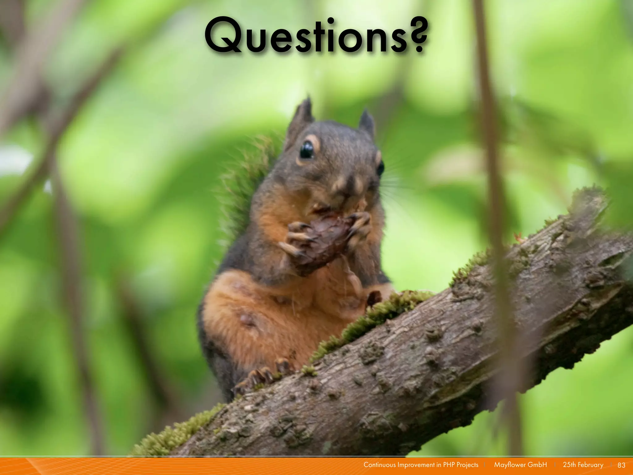 Questions?




       Continuous Improvement in PHP Projects I   Mayﬂower GmbH I 25th February I 83
 