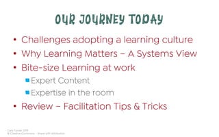 Cara Turner 2019
© Creative Commons – Share with Attribution
OUR JOURNEY TODAY
•  Challenges adopting a learning culture
•  Why Learning Matters – A Systems View
•  Bite-size Learning at work
 Expert Content
 Expertise in the room
•  Review – Facilitation Tips & Tricks
 