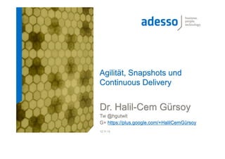 Agilität, Snapshots und
Continuous Delivery

Dr. Halil-Cem Gürsoy
Tw @hgutwit
G+ https://plus.google.com/+HalilCemGürsoy
12.11.13

 