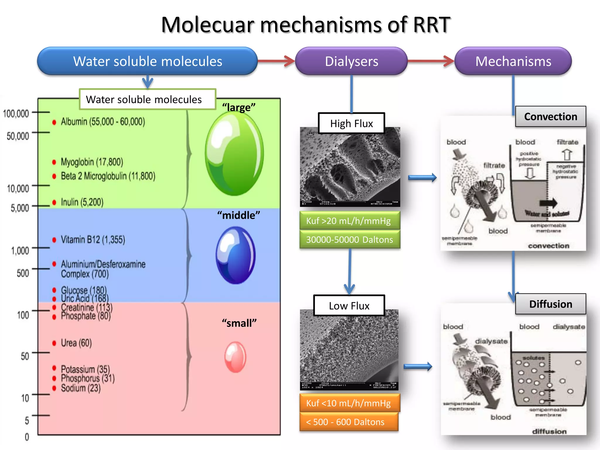 Continuous renal replacement therapy in AKI | PDF