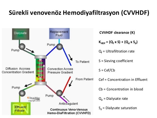 pdf the genesis key 2011