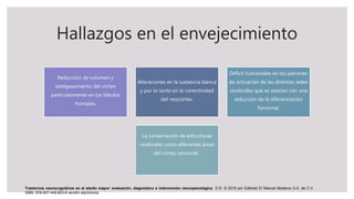 Hallazgos en el envejecimiento
Reducción de volumen y
adelgazamiento del córtex
particularmente en los lóbulos
frontales.
Alteraciones en la sustancia blanca
y por lo tanto en la conectividad
del neocórtex.
Déficit funcionales en los patrones
de activación de las distintas redes
cerebrales que se asocian con una
reducción de la diferenciación
funcional.
La conservación de estructuras
cerebrales como diferentes áreas
del córtex sensorial.
Trastornos neurocognitivos en el adulto mayor: evaluación, diagnóstico e intervención neuropsicológica D.R. © 2019 por Editorial El Manual Moderno S.A. de C.V.
ISBN: 978-607-448-803-6 versión electrónica
 