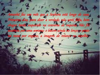 Amanhã faz um mês que a Senhora está longe de casa. 
Primeiros dias, para dizer a verdade, não senti falta, bom 
chegar tarde, esquecido na conversa de esquina. Não foi 
ausência por uma semana: o batom ainda no lenço, o prato 
na mesa por engano, a imagem de relance no espelho. 
 