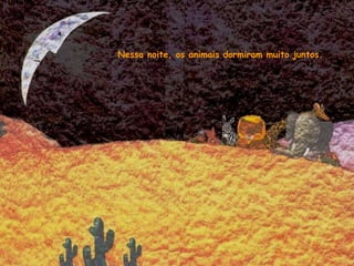 Nessa noite, os animais dormiram muito juntos.
 