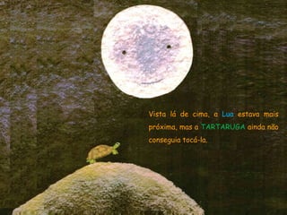 Vista lá de cima, a Lua estava mais
próxima, mas a TARTARUGA ainda não
conseguia tocá-la.
 