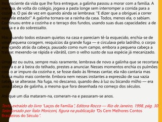 Inconsciente da vida que lhe fora entregue, a galinha passou a morar com a família. A
menina, de volta do colégio, jogava a pasta longe sem interromper a corrida para a
cozinha. O pai de vez em quando ainda se lembrava: "E dizer que a obriguei a correr
naquele estado!" A galinha tornara-se a rainha da casa. Todos, menos ela, o sabiam.
Continuou entre a cozinha e o terraço dos fundos, usando suas duas capacidades: a de
apatia e a do sobressalto.
Mas quando todos estavam quietos na casa e pareciam tê-la esquecido, enchia-se de
uma pequena coragem, resquícios da grande fuga — e circulava pelo ladrilho, o corpo
avançando atrás da cabeça, pausado como num campo, embora a pequena cabeça a
traísse: mexendo-se rápida e vibrátil, com o velho susto de sua espécie já mecanizado.
Uma vez ou outra, sempre mais raramente, lembrava de novo a galinha que se recortara
contra o ar à beira do telhado, prestes a anunciar. Nesses momentos enchia os pulmões
com o ar impuro da cozinha e, se fosse dado às fêmeas cantar, ela não cantaria mas
ficaria muito mais contente. Embora nem nesses instantes a expressão de sua vazia
cabeça se alterasse. Na fuga, no descanso, quando deu à luz ou bicando milho — era
uma cabeça de galinha, a mesma que fora desenhada no começo dos séculos.
Até que um dia mataram-na, comeram-na e passaram-se anos.
Texto extraído do livro “Laços de Família”, Editora Rocco — Rio de Janeiro, 1998, pág. 30.
Selecionado por Ítalo Moriconi, figura na publicação “Os Cem Melhores Contos
Brasileiros do Século”.
 