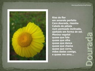 HenriqueSantos AnaFrançaRiso de florem amarelo perfeito Cara dourada, risonha Cabelo de pétalanum penteado inclinado, ajeitado em forma de sol. Menina vegetalquase que falaquase que olhaquase que dançaquase que chamaquase que corre, mãos dadas comigo, e quase me ama…Dourada