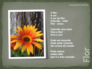 HenriqueSantos AnaFrançaA flor.A cor.A cor da flor.Colorida - vida!Flor - amor. Colorida com amorViva a flor!Viva a cor! Pode ser amarelaPode estar à janelaSer aroma de canelaPode nascer neste chãoque é o meu coração.Flor