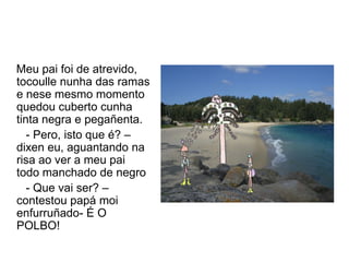 Meu pai foi de atrevido,
tocoulle nunha das ramas
e nese mesmo momento
quedou cuberto cunha
tinta negra e pegañenta.
   - Pero, isto que é? –
dixen eu, aguantando na
risa ao ver a meu pai
todo manchado de negro
   - Que vai ser? –
contestou papá moi
enfurruñado- É O
POLBO!
 