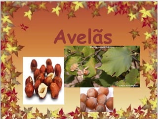 Avelãs
 