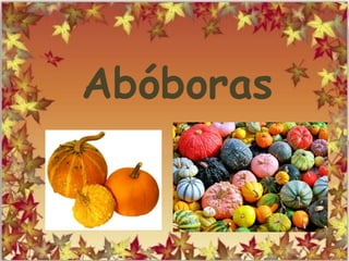 Abóboras
 
