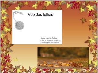 Voo das folhas
 