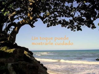 Un toque puede mostrarle cuidado 