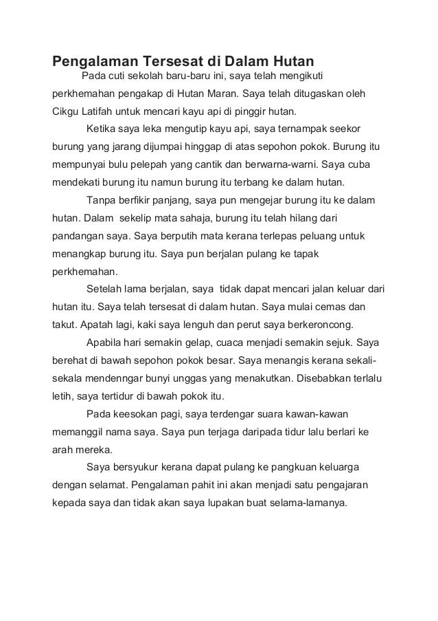 Contoh Karangan Pengalaman