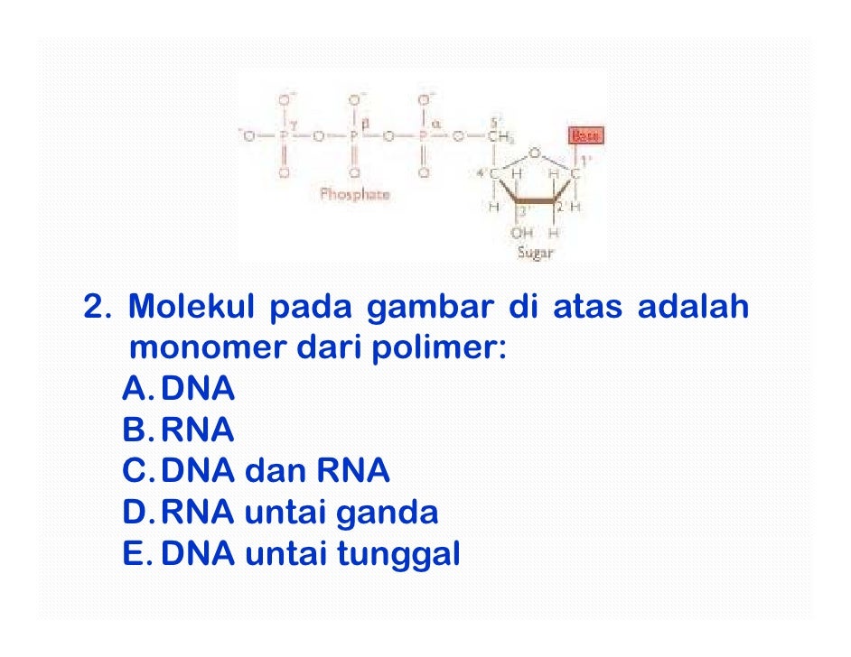 Contoh Soal Kuis Online