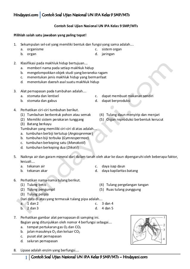 Soal Bioteknologi Smp