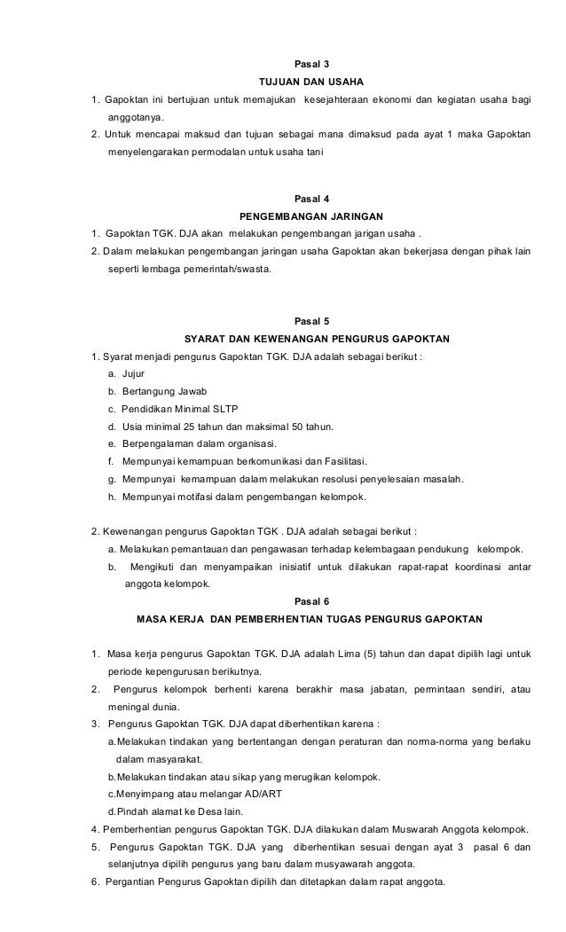 new class essays understanding