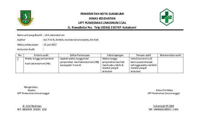 Contoh Audit Plan Dan Instrumen Audit Pkm