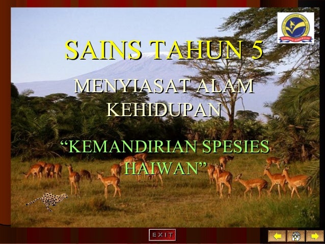 Kreativiti & inovatif ( Tajuk  Contoh BBM multimedia yang akan dihas…