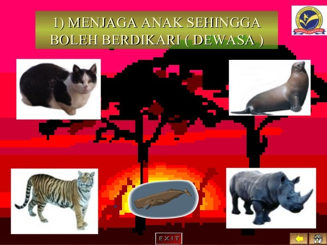 Kreativiti & inovatif ( Tajuk : Contoh BBM multimedia yang 