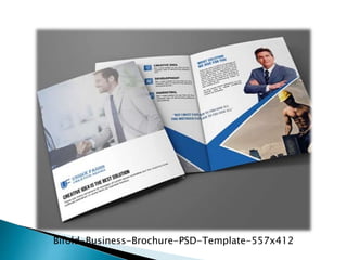 Bifold-Business-Brochure-PSD-Template-557x412
 