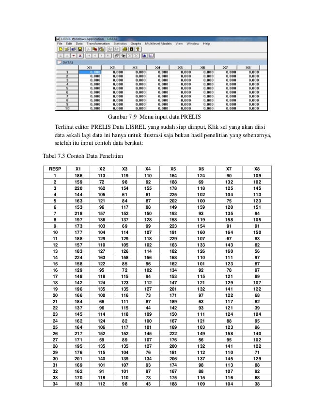 CONTOH DISERTASI MODEL ANALISIS JALUR DENGAN LISREL