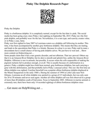 Pinky The Dolphin Research Paper
Pinky the Dolphin
Pinky is a bottlenose dolphin. It is completely normal, except for the fact that it s pink. The social
media has been going crazy since Pinky s last sighting on September 9th, 2015. Pinky isn t the first
pink dolphin, and probably won t be the last. Nevertheless, it is a rare type, and scarcity creates value,
or in Pinky s case, fame.
Pinky was first sighted in June 2007 in Louisiana waters as a dolphin calf following its mother. This
time, it has been accompanied by another grey bottlenose dolphin. This means that they are mating,
and leads to the speculation that Pinky is a female. Because its colour is so rare, Pinky and its mate s
descendants have a small chance of having pink dolphin calves. We just have to wait and ... Show
more content on Helpwriting.net ...
Some people claim that it has a rare genetic disorder, and not albinism. That isn t proved. Others say
that it is an Amazon River Dolphin, but its skin is smooth and splotch free, unlike the Amazon River
Dolphin. Albinism is rare in animals, but possible. It occurs when the cells responsible of making the
pigment melanin fail to produce enough, or at all. This is usually because of a deformation in a
gene(s). Pinky s dolphin might have both been normal, gray bottlenose dolphins, but each carrying a
gene with this deformation, and that probably led to Pinky s unusual colour. This isn t the first time an
albino dolphin was sighted. Carolina Snowball was a popular albino bottlenose dolphin displayed at
the Miami Seaquarium in the early 1960 s. During the summer of 1994 in Little Lake near New
Orleans, Louisiana an all white dolphin was spotted in a group of 4 5 individuals, but was only seen
for 20 to 30 minutes and never seen again. Another all white dolphin calf was first observed in a group
of more than 40 dolphins south of Galveston, Texas in September 2003. Albinism in marine animals is
extremely rare; there have been only 14 recorded sightings of albino bottlenose dolphins since
... Get more on HelpWriting.net ...
 