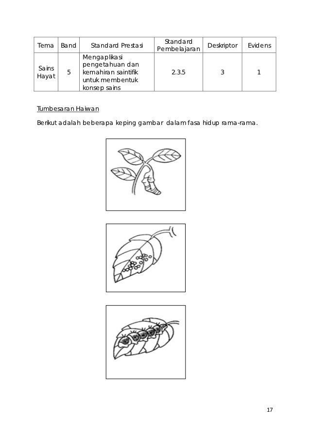 Contoh Soalan Dst Tahun 3 Kssr - Top 10 Work at Home Jobs