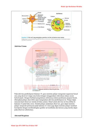 Modul Ajar Kurikulum Merdeka
Modul Ajar IPA SMP Fase D Kelas VIII
Aktivitas Utama
Pada aktivitas pembelajaran halaman 19, guru meminta pelajar mengamati organisme bersel
satu yang ada di air sungai atau kolam dengan menggunakan mikroskop cahaya secara
berkelompok. Dengan berbekal pengetahuan sebelumnya dalam pembuatan preparat basah,
diharapkan pelajar akan lebih cepat mengerjakan aktivitas pembelajaran ini. Pelajar dapat
mencatat hasil observasi mereka di buku catatan. Detail untuk aktivitas ini bisa dilihat di
halaman 23 pada buku siswa. Setelah pelajar melakukan observasi, guru dapat meminta
pelajar menjawab pertanyaan pada halaman 23. Guru juga dapat meminta pelajar membuat
kesimpulan dengan membandingkan gambar sel (tumbuhan dan hewan) yang mereka dapat
pada observasi sebelumnya.
Alternatif Kegiatan
 
