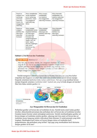 Modul Ajar Kurikulum Merdeka
Modul Ajar IPA SMP Fase D Kelas VIII
Subbab 1.2 Sel Hewan dan Tumbuhan
Setelah mengamati perbedaan hewan dan tumbuhan, kira-kira apa yang bisa kalian
simpulkan dari kegiatan tersebut? Jika salah satu jawaban kalian adalah hewan mampu
bergerak sementara tumbuhan tidak, kalian sudah benar. Nah apa yamg membuat hewan
mampu bergerak sementara tumbuhan tidak? Apakah ada yang berbeda dengan sel mereka?
Mari kita bahas melalui gambar ini
Ayo Menganalisis Sel Hewan dan Sel Tumbuhan
Perhatikan gambar sel hewan dan sel tumbuhan di atas. Setelah kamu amati kedua gambar
tersebut, diskusikanlah persamaan dan perbedaan dari sel hewan dan sel tumbuhan tersebut.
Gunakan kajian literatur untuk melengkapi analisismu. Setelah membandingkan gambar sel
hewan dengan sel tumbuhan melalui gambar, sekarang mari kita amati sel hewan dan sel
tumbuhan secara langsung melalui mikroskop (buka halaman 16 untuk petunjuk yang lebih
lengkap). Bandingkan hasil sketsa sel hewan dengan sketsa sel tumbuhan hasil
pengamatanmu, apa perbedaan yang terlihat? Apa juga yang membedakan hasil sketsamu
dengan gambar sel di atas?
 