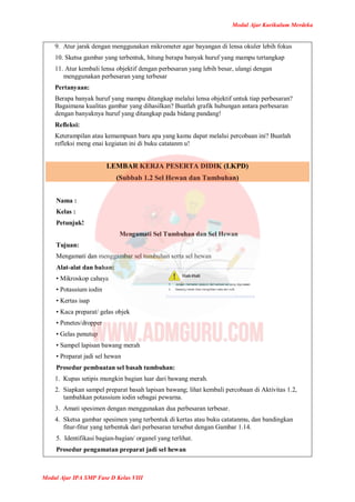 Modul Ajar Kurikulum Merdeka
Modul Ajar IPA SMP Fase D Kelas VIII
9. Atur jarak dengan menggunakan mikrometer agar bayangan di lensa okuler lebih fokus
10. Sketsa gambar yang terbentuk, hitung berapa banyak huruf yang mampu tertangkap
11. Atur kembali lensa objektif dengan perbesaran yang lebih besar, ulangi dengan
menggunakan perbesaran yang terbesar
Pertanyaan:
Berapa banyak huruf yang mampu ditangkap melalui lensa objektif untuk tiap perbesaran?
Bagaimana kualitas gambar yang dihasilkan? Buatlah grafik hubungan antara perbesaran
dengan banyaknya huruf yang ditangkap pada bidang pandang!
Refleksi:
Keterampilan atau kemampuan baru apa yang kamu dapat melalui percobaan ini? Buatlah
refleksi meng enai kegiatan ini di buku catatanm u!
LEMBAR KERJA PESERTA DIDIK (LKPD)
(Subbab 1.2 Sel Hewan dan Tumbuhan)
Nama :
Kelas :
Petunjuk!
Mengamati Sel Tumbuhan dan Sel Hewan
Tujuan:
Mengamati dan menggambar sel tumbuhan serta sel hewan
Alat-alat dan bahan:
• Mikroskop cahaya
• Potassium iodin
• Kertas isap
• Kaca preparat/ gelas objek
• Penetes/dropper
• Gelas penutup
• Sampel lapisan bawang merah
• Preparat jadi sel hewan
Prosedur pembuatan sel basah tumbuhan:
1. Kupas setipis mungkin bagian luar dari bawang merah.
2. Siapkan sampel preparat basah lapisan bawang; lihat kembali percobaan di Aktivitas 1.2,
tambahkan potassium iodin sebagai pewarna.
3. Amati spesimen dengan menggunakan dua perbesaran terbesar.
4. Sketsa gambar spesimen yang terbentuk di kertas atau buku catatanmu, dan bandingkan
fitur-fitur yang terbentuk dari perbesaran tersebut dengan Gambar 1.14.
5. Identifikasi bagian-bagian/ organel yang terlihat.
Prosedur pengamatan preparat jadi sel hewan
 
