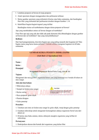 Modul Ajar Kurikulum Merdeka
Modul Ajar IPA SMP Fase D Kelas VIII
1. Letakkan preparat sel hewan di meja preparat.
2. Amati spesimen dengan menggunakan dua perbesaran terbesar.
3. Sketsa gambar spesimen yang terbentuk di kertas atau buku catatanmu, dan bandingkan
fitur-fitur yang terbentuk dari perbesaran tersebut dengan Gambar 1.14.
4. Identifikasi bagian-bagian/organel yang terlihat
Bandingkan sketsa sel tumbuhanmu dengan sketsa preparat sel hewan!
Apa yang membedakan antara sel hewan dengan sel tumbuhan?
Fitur-fitur apa saja yang ada dan tidak ada pada sketsamu bila dibandingkan dengan gambar
sel hewan dan sel tumbuhan? Apa yang menyebabkannya?
Refleksi:
Dari hasil pengamatanmu, kira-kira bagian apa yang paling menarik dari kegiatan ini? Dan
bagian mana yang harus kamu perbaiki? Tulislah refleksi mengenai kegiatan ini di buku
catatanmu
LEMBAR KERJA PESERTA DIDIK (LKPD)
(Sub Bab 1.3 Spesialisasi Sel)
Nama :
Kelas :
Petunjuk!
Mengamati Organisme Bersel Satu Yang Ada di Air
Tujuan:
Mengamati dan menggambar organisme bersel satu yang kemungkinan berada di kolam air
atau sungai
Alat-alat dan bahan:
• Mikroskop cahaya
• Sampel air kolam atau sungai
• Kertas saring
• Kaca preparat/ gelas objek
• Penetes/dropper
• Gelas penutup
Prosedur:
1. Teteskan satu tetes air kolam atau sungai ke gelas objek, tutup dengan gelas penutup
2. Gunakan mikroskop untuk mengamati kemungkinan adanya organisme bersel satu dari
dalam air
3. Di kertas atau buku catatan, sketsa sebanyak mungkin organisme yang terlihat di
mikroskop.
Pertanyaan:
1. Deskripsikan ukuran dan bentuk dari organisme yang kalian lihat
 