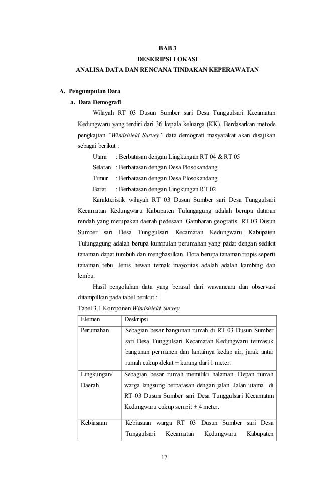 Contoh Laporan Keperawatan Komunitas