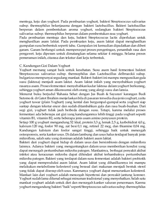 Contoh Makalah Bioteknologi Yoghurt